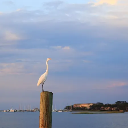 Villa Harbourside 7123 Hilton Head Island Exterior foto